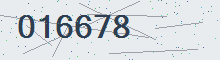 Security code (reload page if missing)
