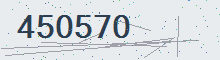 Security code (reload page if missing)